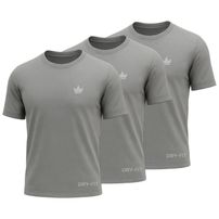 Kit 3 Camisetas Dry Fit Rei do Esporte Masculina Academia Treino  Cinza