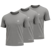 Kit 3 Camisetas Dry Fit Rei do Esporte Masculina Academia Treino  Cinza
